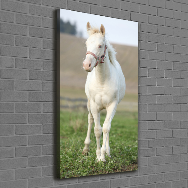 Fotografía en lienzo vertical Caballo albino