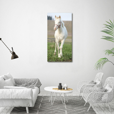 Fotografía en lienzo vertical Caballo albino