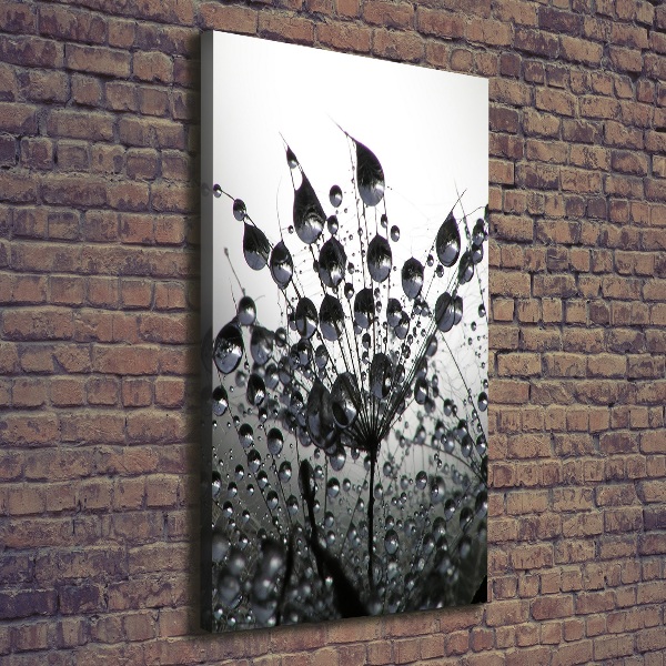 Cuadro moderno en lienzo resistente uv vertical semillas de diente de león