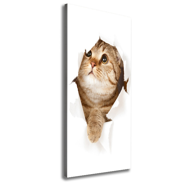 Cuadro canvas decorativo para salón vertical Gato