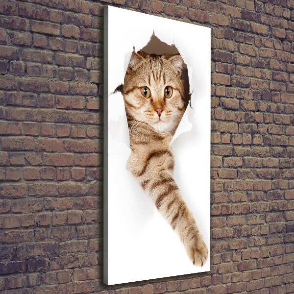 Cuadro moderno en lienzo resistente uv vertical Gato
