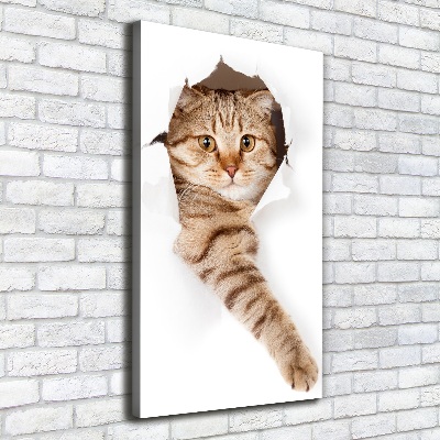 Cuadro moderno en lienzo resistente uv vertical Gato