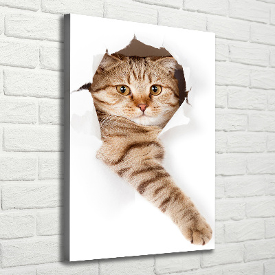 Cuadro moderno en lienzo resistente uv vertical Gato