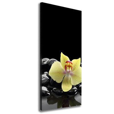 Cuadro moderno en lienzo resistente uv vertical Orquídea y piedras