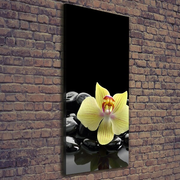 Cuadro moderno en lienzo resistente uv vertical Orquídea y piedras
