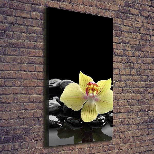 Cuadro moderno en lienzo resistente uv vertical Orquídea y piedras