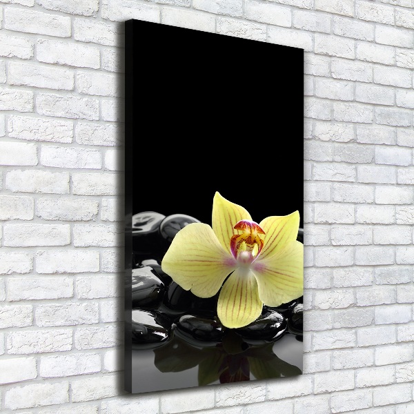 Cuadro moderno en lienzo resistente uv vertical Orquídea y piedras