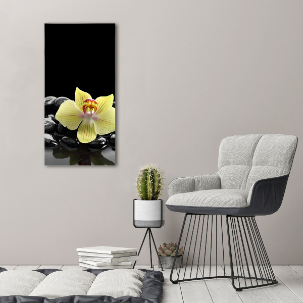Cuadro moderno en lienzo resistente uv vertical Orquídea y piedras