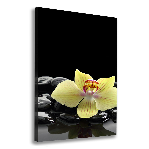 Cuadro moderno en lienzo resistente uv vertical Orquídea y piedras