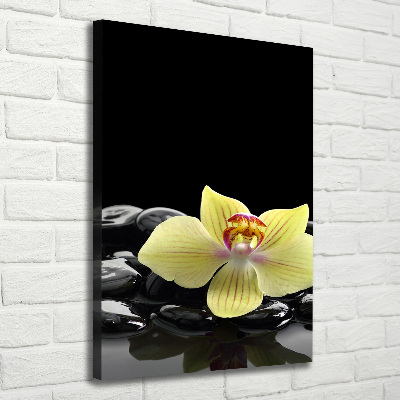Cuadro moderno en lienzo resistente uv vertical Orquídea y piedras