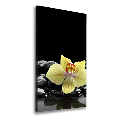Cuadro moderno en lienzo resistente uv vertical Orquídea y piedras
