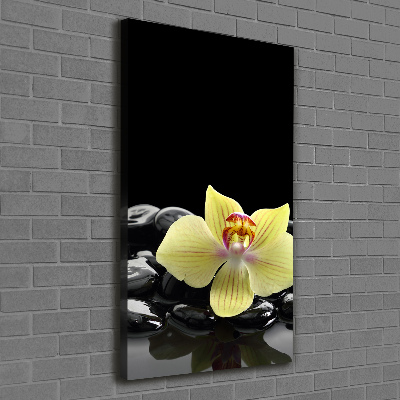 Cuadro moderno en lienzo resistente uv vertical Orquídea y piedras