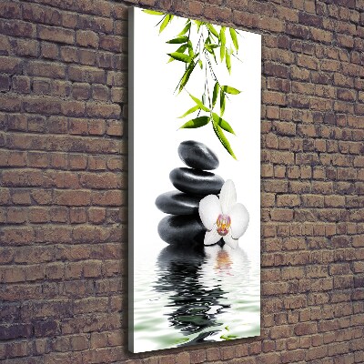Fotografía en lienzo vertical Orquídea y piedras