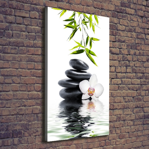 Fotografía en lienzo vertical Orquídea y piedras