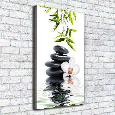 Foto obraz na płótnie pionowy Orchidea i kamienie