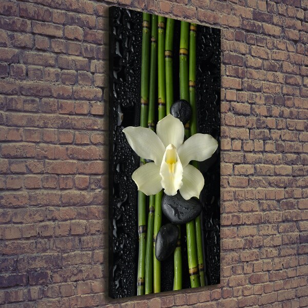 Cuadro moderno en lienzo resistente uv vertical Orquídea y bambú