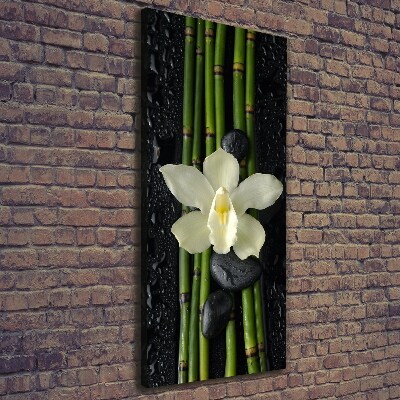 Cuadro moderno en lienzo resistente uv vertical Orquídea y bambú