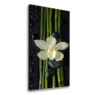 Cuadro moderno en lienzo resistente uv vertical Orquídea y bambú