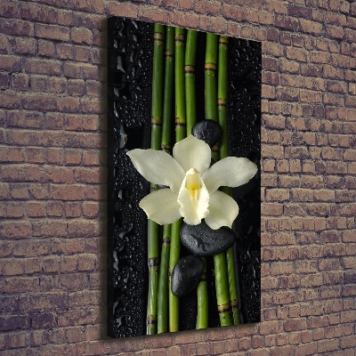 Cuadro moderno en lienzo resistente uv vertical Orquídea y bambú