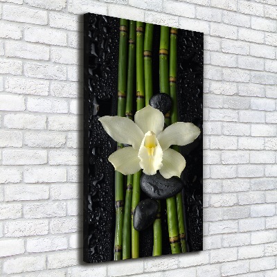 Cuadro moderno en lienzo resistente uv vertical Orquídea y bambú