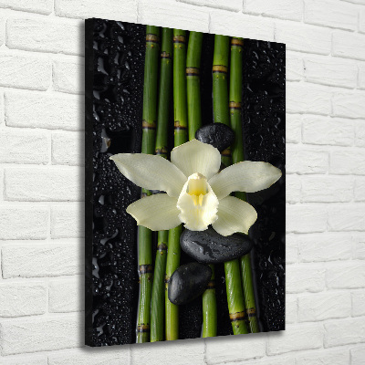 Cuadro moderno en lienzo resistente uv vertical Orquídea y bambú