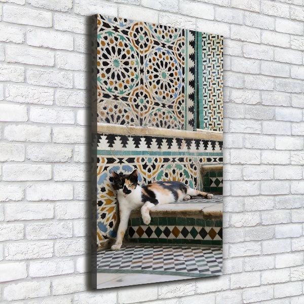 Fotografía en lienzo vertical Un gato en Marruecos