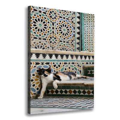 Fotografía en lienzo vertical Un gato en Marruecos