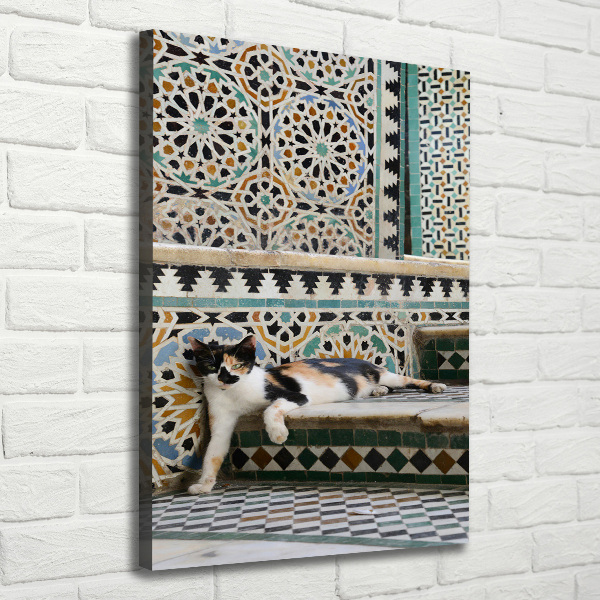 Fotografía en lienzo vertical Un gato en Marruecos
