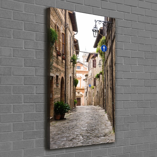 Cuadro canvas decorativo para salón vertical calles italianas