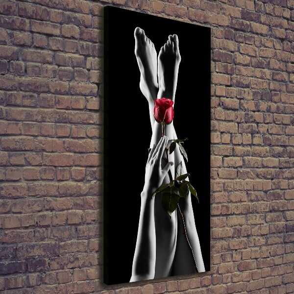 Cuadro moderno en lienzo resistente uv vertical Rosa y pies