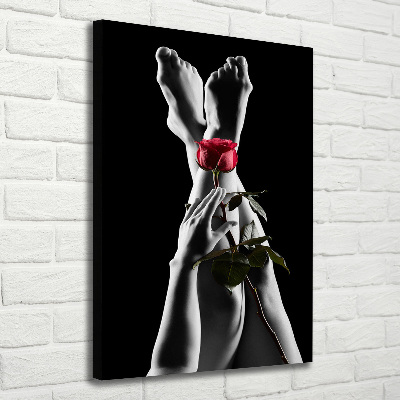 Cuadro moderno en lienzo resistente uv vertical Rosa y pies