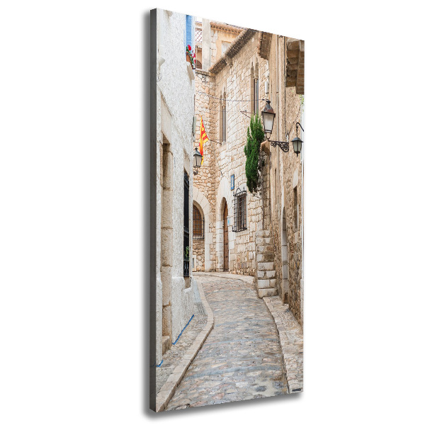 Cuadro canvas decorativo para salón vertical Calles en España