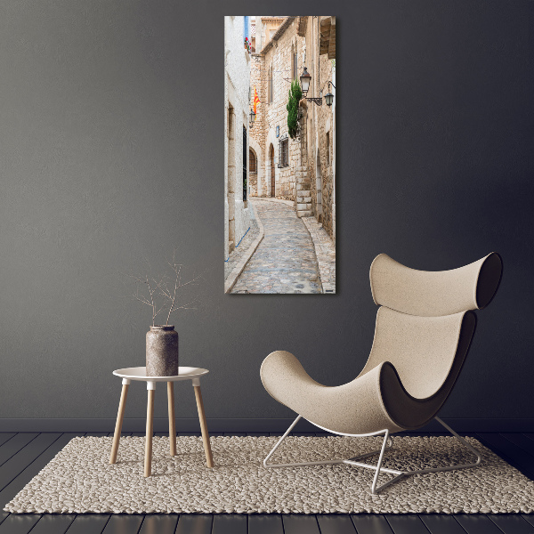 Cuadro canvas decorativo para salón vertical Calles en España