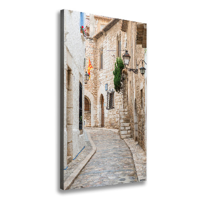Cuadro canvas decorativo para salón vertical Calles en España