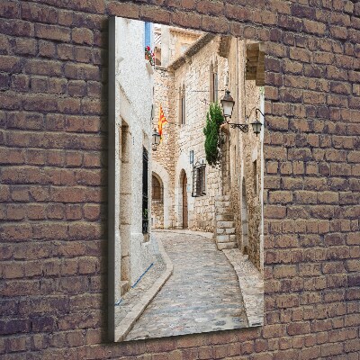 Cuadro canvas decorativo para salón vertical Calles en España