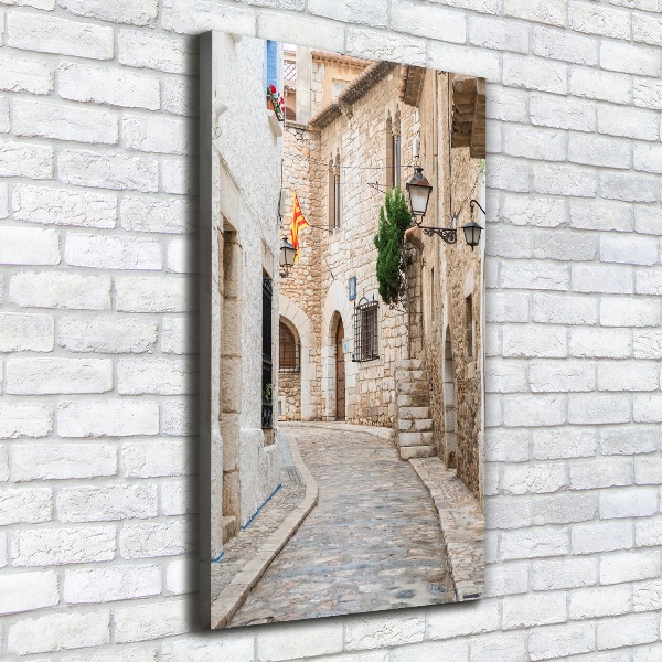 Cuadro canvas decorativo para salón vertical Calles en España
