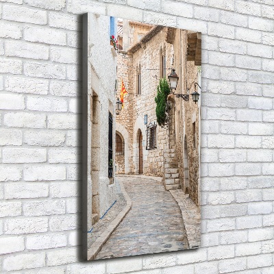 Cuadro canvas decorativo para salón vertical Calles en España