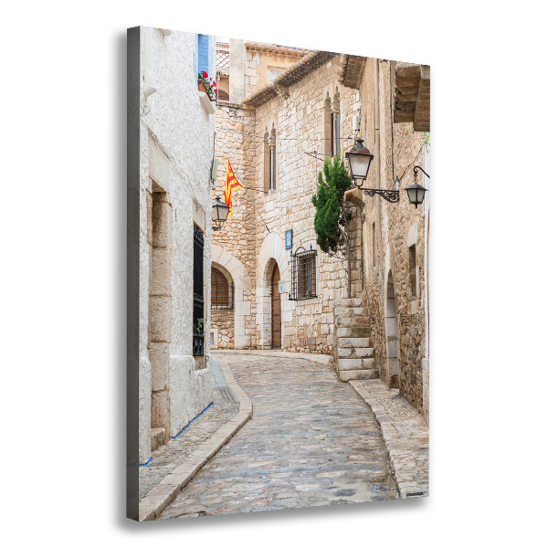 Cuadro canvas decorativo para salón vertical Calles en España