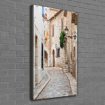 Cuadro canvas decorativo para salón vertical Calles en España