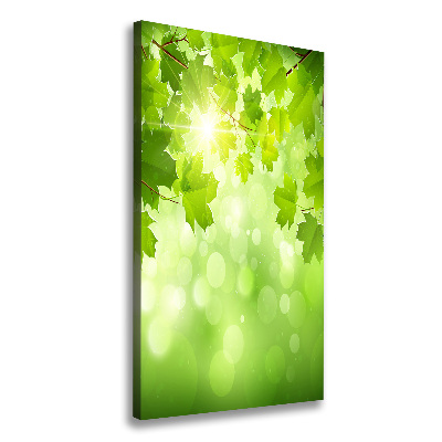 Cuadro canvas decorativo para salón vertical hojas verdes