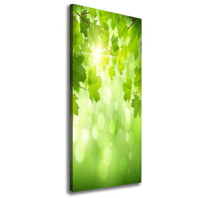 Cuadro canvas decorativo para salón vertical hojas verdes