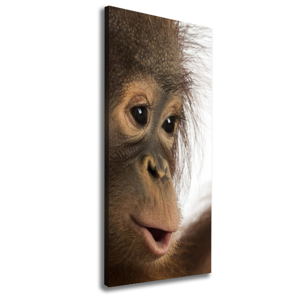 Fotografía en lienzo vertical Orangután joven