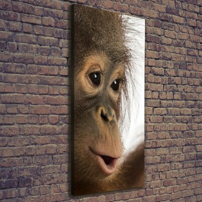 Fotografía en lienzo vertical Orangután joven