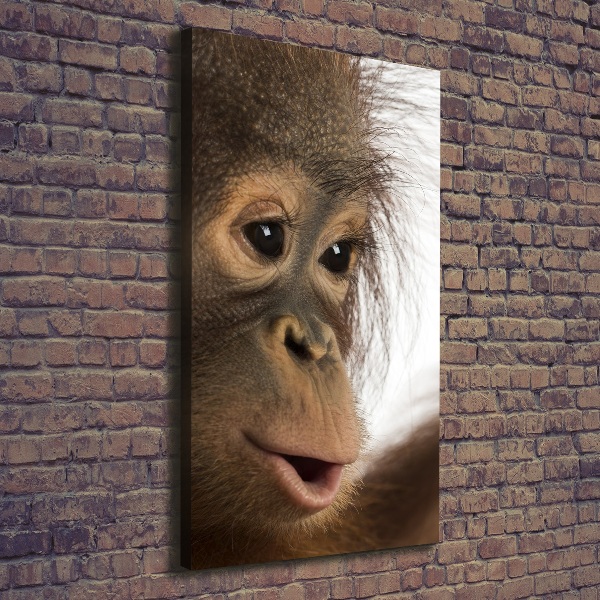 Fotografía en lienzo vertical Orangután joven