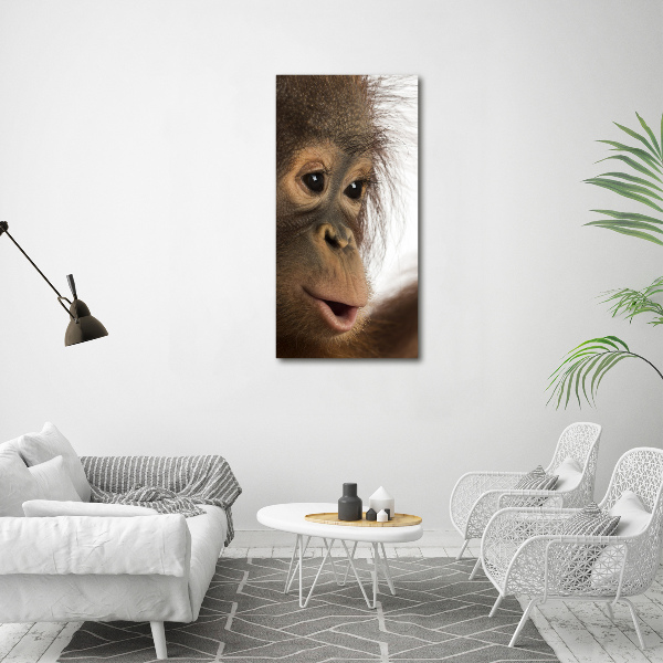 Fotografía en lienzo vertical Orangután joven
