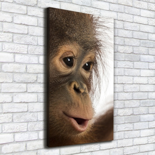 Fotografía en lienzo vertical Orangután joven