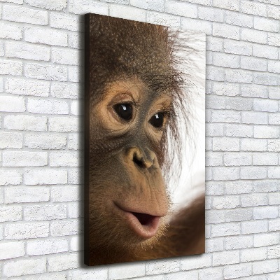 Fotografía en lienzo vertical Orangután joven