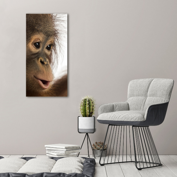 Fotografía en lienzo vertical Orangután joven