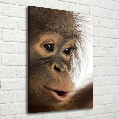 Fotografía en lienzo vertical Orangután joven