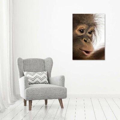 Fotografía en lienzo vertical Orangután joven
